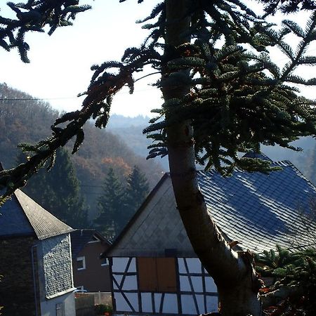 Vakantiehuis Hunsrueck Leisel Екстер'єр фото