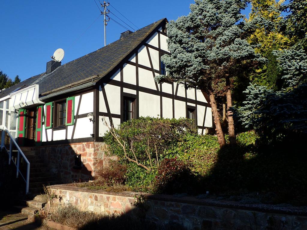 Vakantiehuis Hunsrueck Leisel Екстер'єр фото